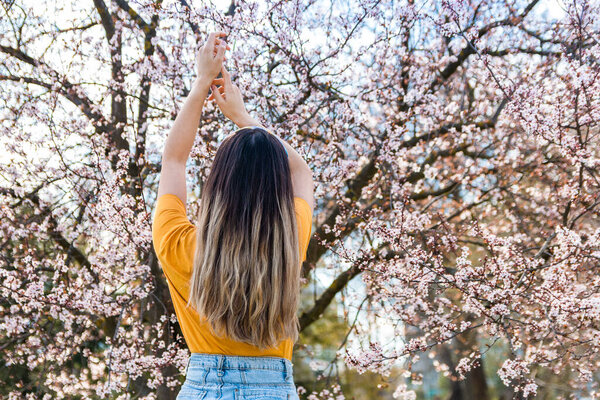 back view of young woman enjoying beginning of spring against bloomy fruit tree with pink flowers in park.