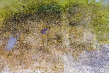 Web veya Video için arka plan dokusu