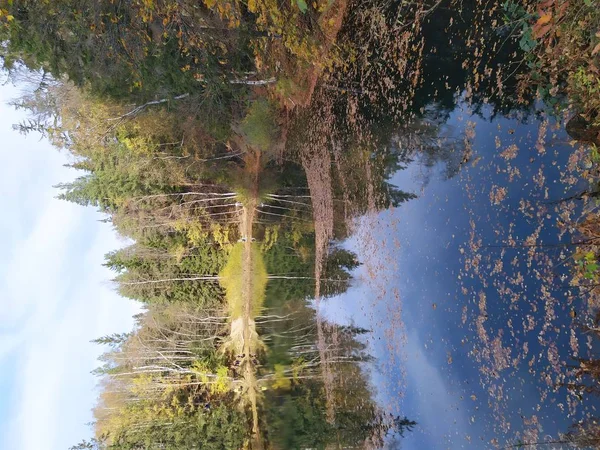 Lakelets Colorato Polacco Kolorowe Jeziorka Nome Tre Volte Quattro Stagni — Foto Stock