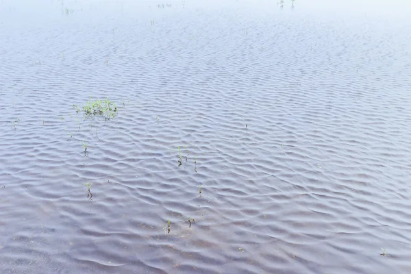 Agua de lluvia en el campo de arroz antes de la temporada de siembra, Tailandia — Foto de Stock