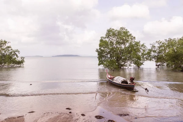 Solitude twilight beach in the evening with mangrove tree and lo — Stock Photo, Image