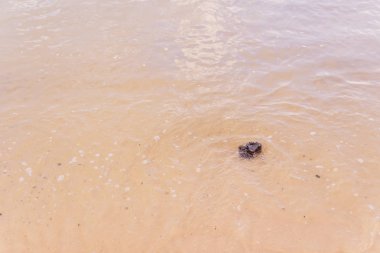 Deniz suyu Beach Otelde düşük gelgit sonra günbatımı arka plan