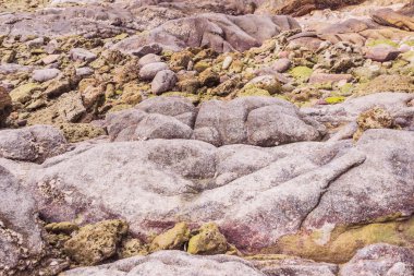 Rock maruz zaman düşük tide arka plan