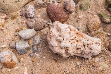 Şekil Kalim bay, Phuket, Tayland, Thailand, ölü mercan çiçek