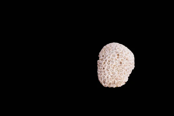Dead Coral kwiat kształt na białym tle na czarno — Zdjęcie stockowe