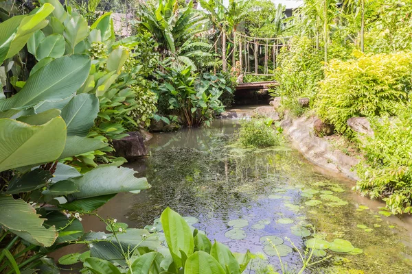 Bahçe içinde insan yapımı küçük nehir