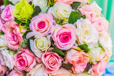 Çeşitli renk arka plan ile renkli gül