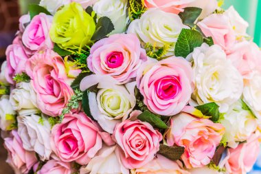 Çeşitli renk arka plan ile renkli gül