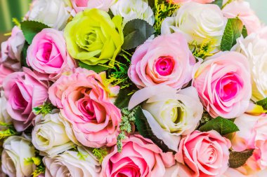 Çeşitli renk arka plan ile renkli gül