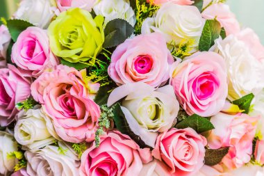 Çeşitli renk arka plan ile renkli gül