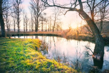 Nehir kıyısında çim ile şafak