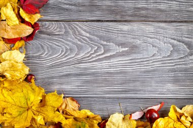 sonbahar yaprakları ile ahşap tablo