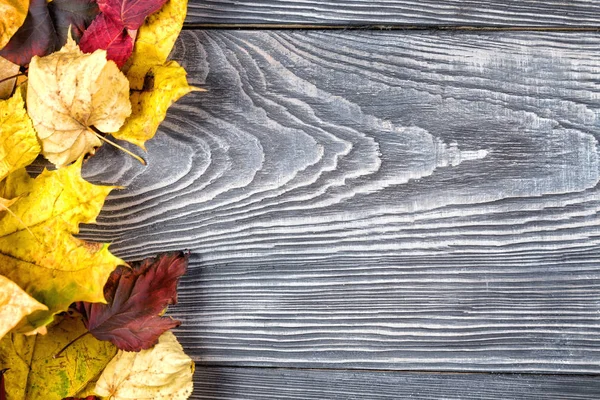 Fondo in legno con foglie autunnali — Foto Stock