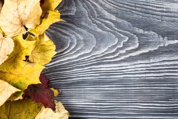 Fond en bois avec les feuilles d'automne — Photo