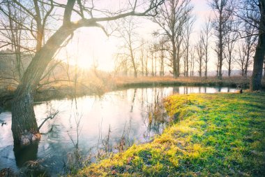 Nehir kıyısında çim ile şafak