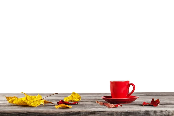 Coupe rouge sur table avec feuilles d'automne — Photo