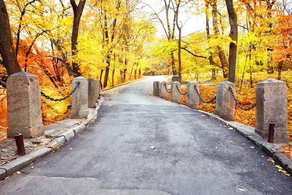 Strada tortuosa con colonne nel parco — Foto Stock