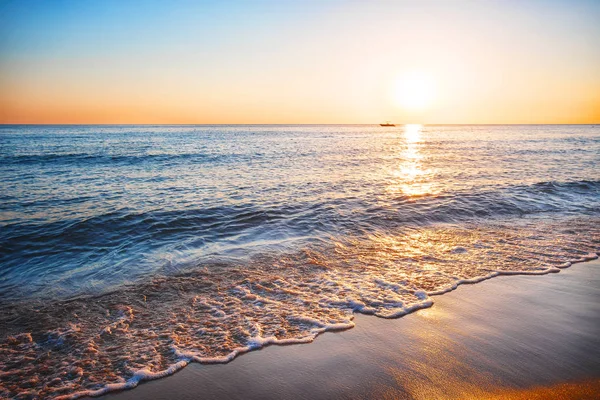 Sörf ile deniz kumlu plaj