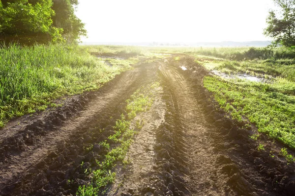 Ground road in a field with green grass — Stock Photo, Image