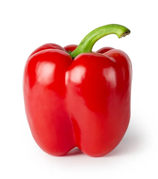 Яркий красный перец с ручкой — стоковое фото