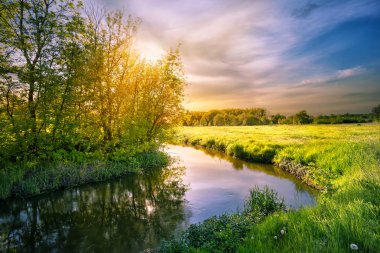 Sahilde bir çayır ile nehir
