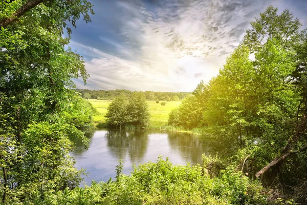 Nehir banka yeşil ağaçlar ve çayır — Stok fotoğraf