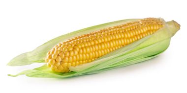 Yaprakları olgun Mısır