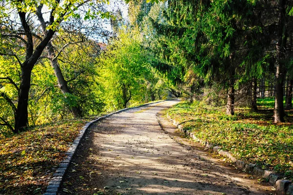 Aszfalt út, egy zöld parkban — Stock Fotó