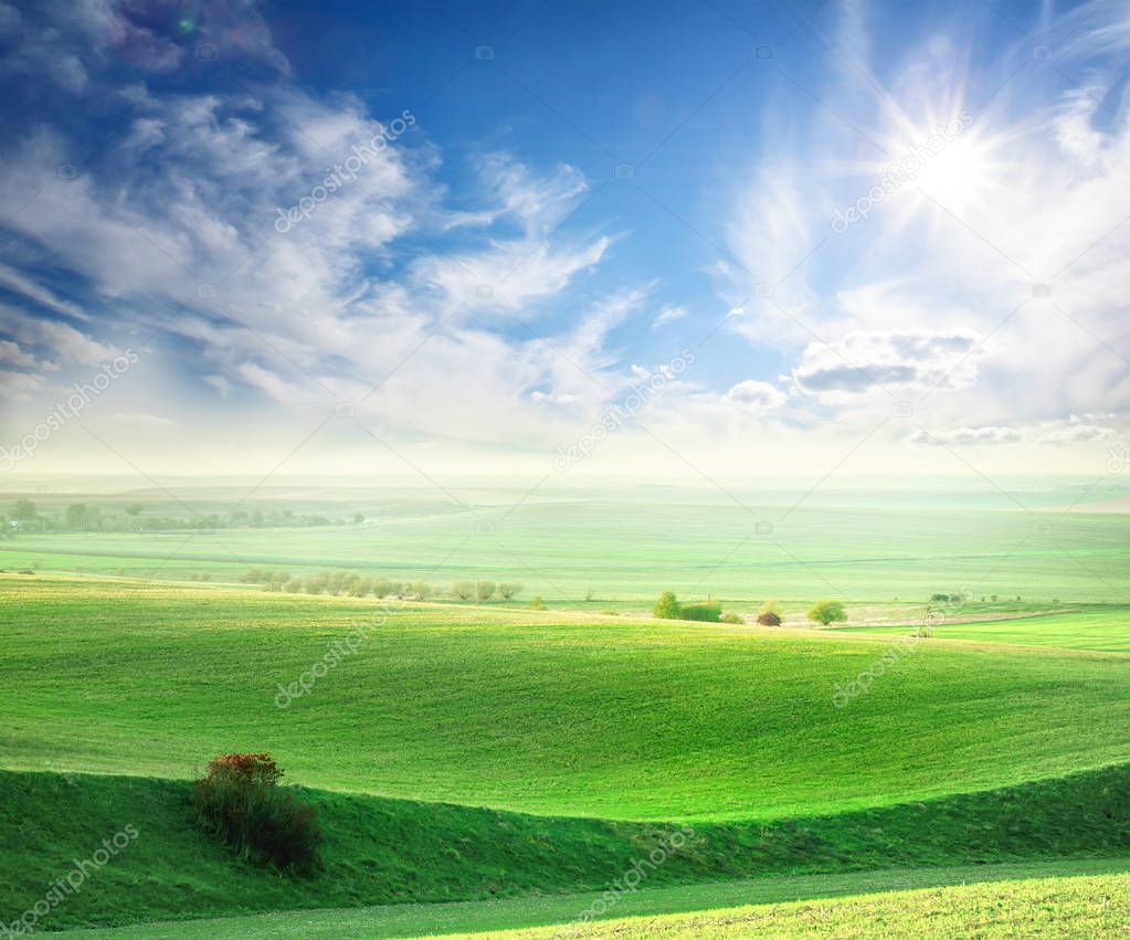 Wavy field with a green grass