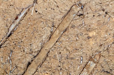 Eski kırık kil duvar ahşap çıta ile