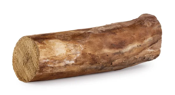 Log without bark lying horizontally — Stock Photo, Image