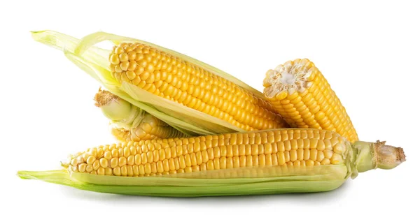 Свіжа кукурудза з зеленим листям — стокове фото