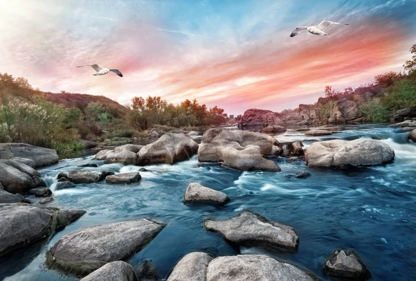 Wasserfall auf Gebirgsfluss mit Möwen — Stockfoto