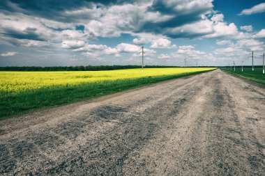 Asfalt yol alanı ile sarı çiçek