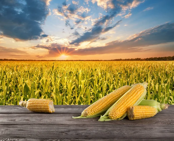 Kukuřice na dřevěný stůl — Stock fotografie