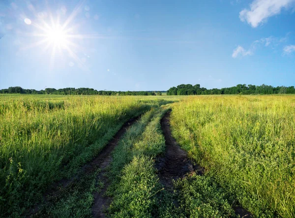 Winding country road on green meadow — Stock Photo, Image