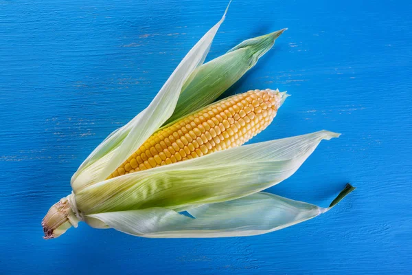 Жовта стигла кукурудза на синьому фоні — стокове фото