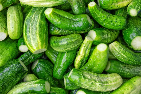 Natuurlijke achtergrond van groene komkommers — Stockfoto