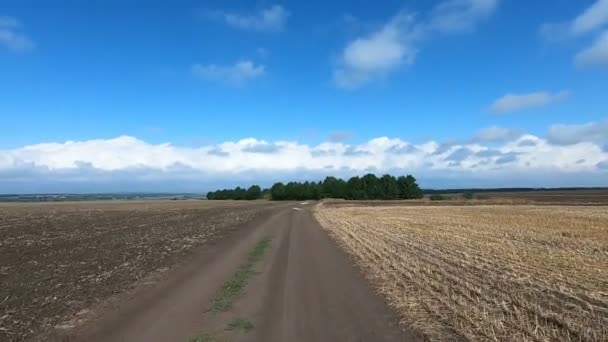 Landweg door landbouwgebied — Stockvideo