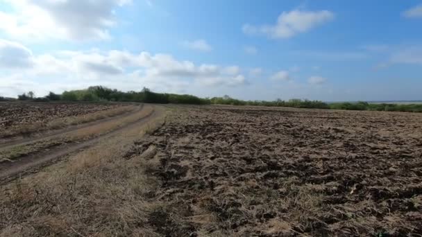 Panorama av en gård fält på en sommardag — Stockvideo