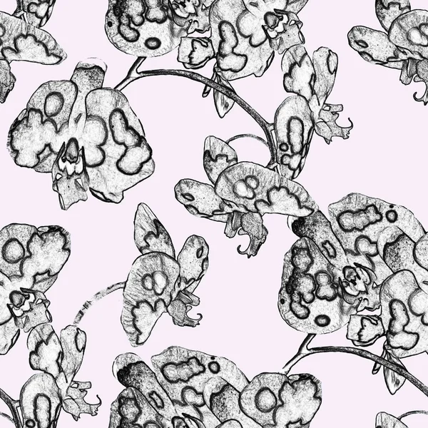 Floral seamless pattern with stylized monochrome Orchid flowers. — 스톡 사진