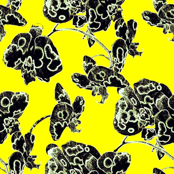 Floral seamless pattern with stylized black Orchid flowers. — ストック写真