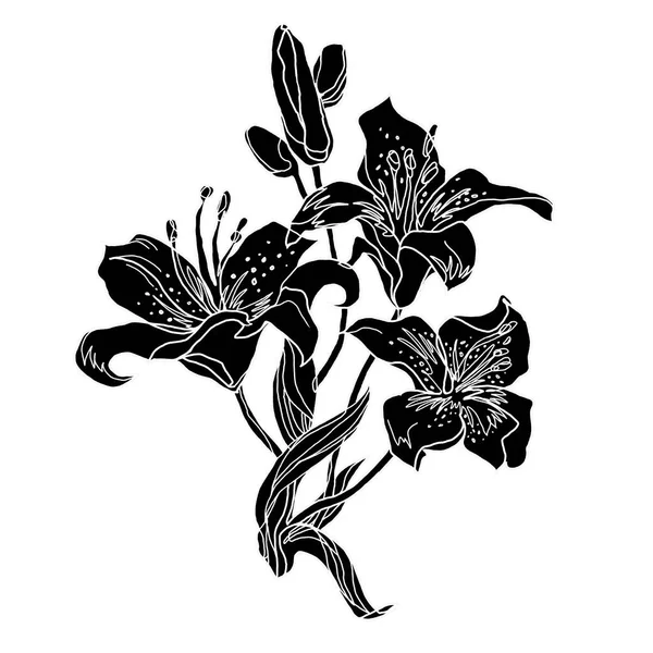 Czarna sylwetka bukietu kwiatów lilii. — Zdjęcie stockowe