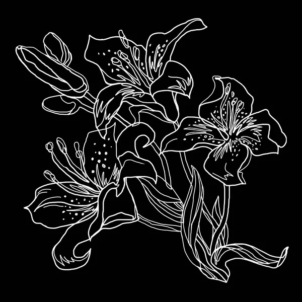 Lily flowers, white outline hand drawn bouquet isolated on black.