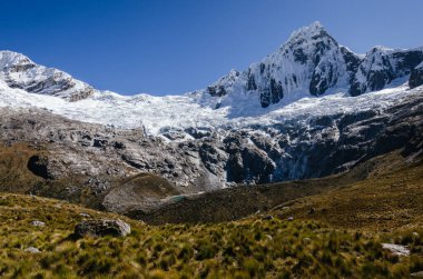 Yüksek karlı Taulliraju dağı ve yeşil çimenler ön planda, quebrada Santa Cruz Peru 'da