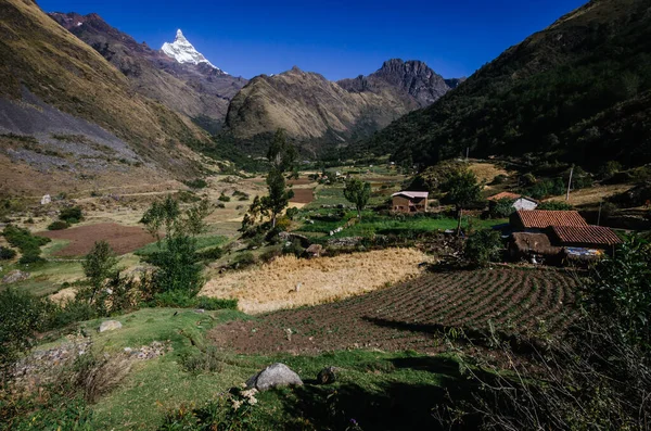 Dağların arasında tarım arazisi olan kırsal köylü kasabası, Peru 'da quebrada Santa Cruz' un yürüyüşü.