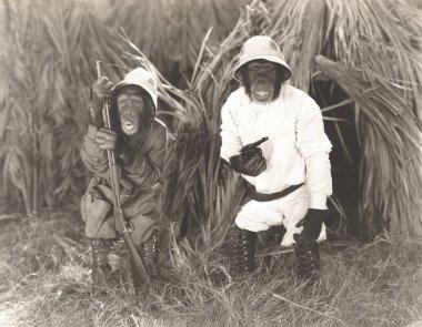ormanda avcılar giyinmiş maymunlar