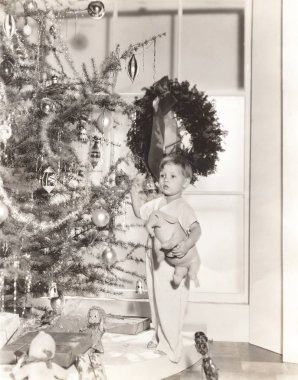 Noel ağacı arayan çocuk