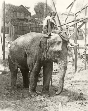 Aklındaki biriyle fil