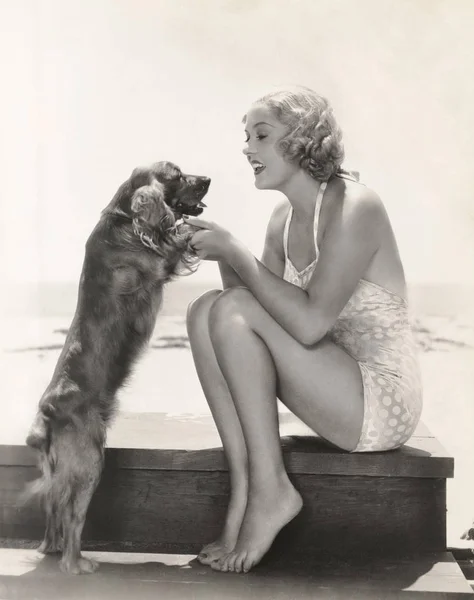 Woman playing with Cocker Spaniel — Stock Photo, Image